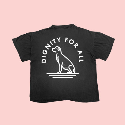 Dignity For All T (Black)