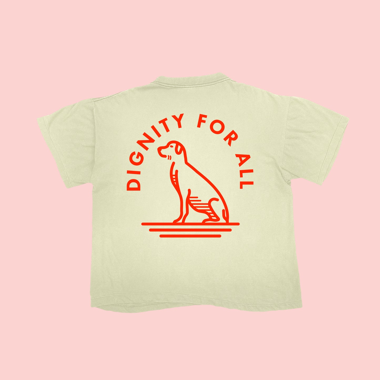 Dignity For All T (Orange)
