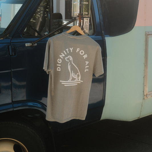 Dignity For All T (Grey)