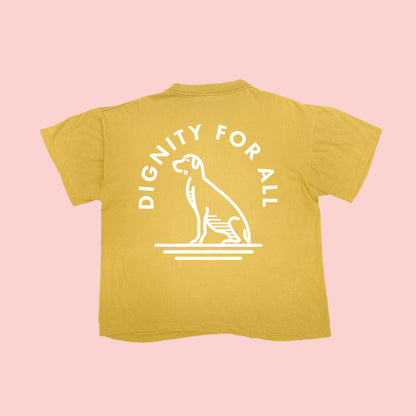 Dignity For All T (Mustard)